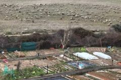 202302_Foto1-380x220-1