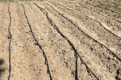 202302_Foto12-380x220-1