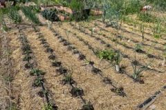 202302_Foto15-380x220-1