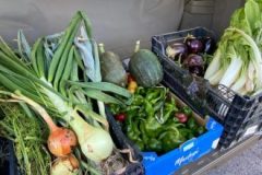 202302_Foto18-380x220-1