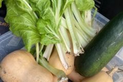 202302_Foto19-380x220-1