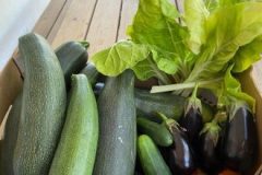 202302_Foto21-380x220-1