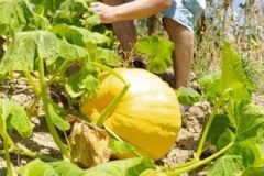 202302_Foto22-380x220-1