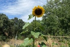 202302_Foto23-380x220-1