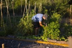 202302_Foto31-380x220-1