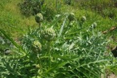 202302_Foto34-380x220-1