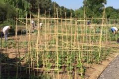 202302_Foto41-380x220-1