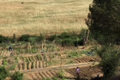 202302_Foto42-380x220-1