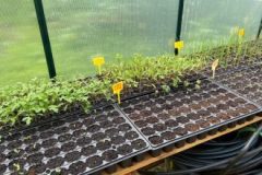 202302_Foto43-380x220-1