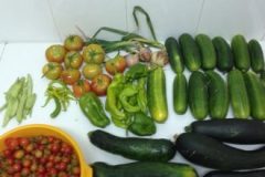 202302_Foto45-380x220-1