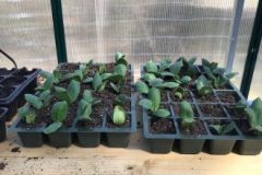 202302_Foto46-380x220-1