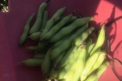 202302_Foto47-380x220-1