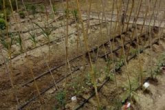 202302_Foto52-380x220-1