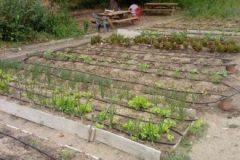 202302_Foto53-380x220-1