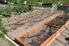 202302_Foto8-380x220-1