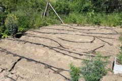 202302_Foto9-380x220-1