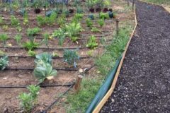 IMG_0497-3-380x220-1