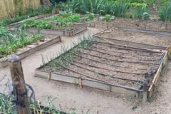 IMG_0504-e1526305465791-380x220-1