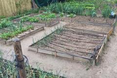 IMG_0504-e1526305465791