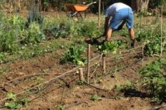 IMG_0861-2-e1526300119838-380x220-1