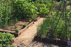 IMG_0867-e1526300009193