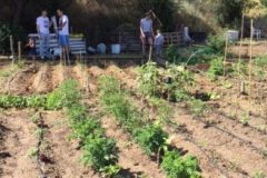 IMG_0873-1-380x220-1