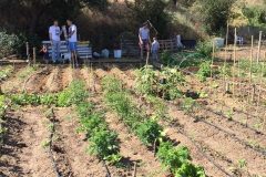 IMG_0873-1-rotated-1