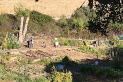 IMG_2834-1-380x220-1