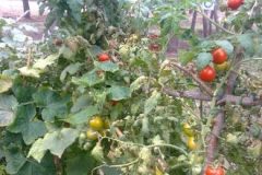 Imagen0119-380x220-1