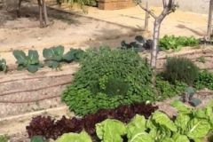 la-foto-rotated-e1643211038182-380x220-1