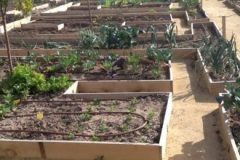 la-foto3-rotated-e1643211001794-380x220-1