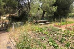 WhatsApp-Image-2025-06-03-at-12.19.39-1