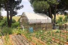 WhatsApp-Image-2025-06-03-at-12.19.39-12