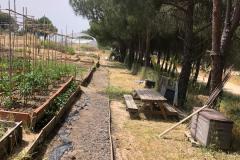 WhatsApp-Image-2025-06-03-at-12.19.39-5