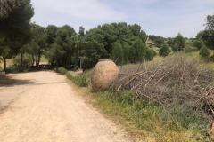 WhatsApp-Image-2025-06-03-at-12.19.39-6