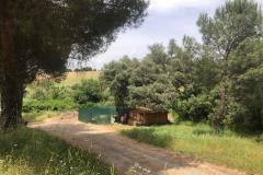 WhatsApp-Image-2025-06-03-at-12.19.39-9